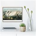 Picture of Vintage Floating White Swan _GroupedProduct_Rectangle_Landscape_Canvas_Framed_