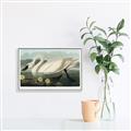 Picture of Vintage Floating White Swan _GroupedProduct_Rectangle_Landscape_Canvas_Framed_
