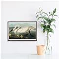 Picture of Vintage Floating White Swan _GroupedProduct_Rectangle_Landscape_Canvas_Framed_