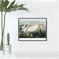 Picture of Vintage Floating White Swan _GroupedProduct_Rectangle_Landscape_Canvas_Framed_