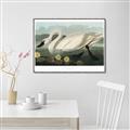 Picture of Vintage Floating White Swan _GroupedProduct_Rectangle_Landscape_Canvas_Framed_