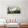 Picture of Vintage Floating White Swan _GroupedProduct_Rectangle_Landscape_Canvas_Framed_