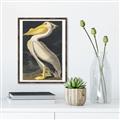 Picture of Vintage White Pelican _GroupedProduct_Rectangle_Portrait_Canvas_Framed_