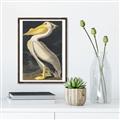 Picture of Vintage White Pelican _GroupedProduct_Rectangle_Portrait_Canvas_Framed_