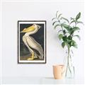 Picture of Vintage White Pelican _GroupedProduct_Rectangle_Portrait_Canvas_Framed_