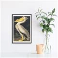 Picture of Vintage White Pelican _GroupedProduct_Rectangle_Portrait_Canvas_Framed_