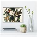 Picture of Black Billed Cuckoo Bird _GroupedProduct_Rectangle_Landscape_Canvas_Framed_