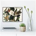 Picture of Black Billed Cuckoo Bird _GroupedProduct_Rectangle_Landscape_Canvas_Framed_