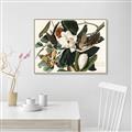 Picture of Black Billed Cuckoo Bird _GroupedProduct_Rectangle_Landscape_Canvas_Framed_