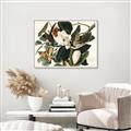 Picture of Black Billed Cuckoo Bird _GroupedProduct_Rectangle_Landscape_Canvas_Framed_
