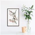 Picture of Vintage Tree Sparrow _GroupedProduct_Rectangle_Portrait_Canvas_Framed_