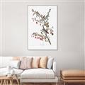 Picture of Vintage Tree Sparrow _GroupedProduct_Rectangle_Portrait_Canvas_Framed_