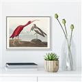Picture of Vintage Scarlet Ibis Bird _GroupedProduct_Rectangle_Landscape_Canvas_Framed_