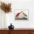 Picture of Vintage Scarlet Ibis Bird _GroupedProduct_Rectangle_Landscape_Canvas_Framed_