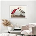 Picture of Vintage Scarlet Ibis Bird _GroupedProduct_Rectangle_Landscape_Canvas_Framed_