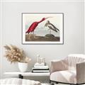 Picture of Vintage Scarlet Ibis Bird _GroupedProduct_Rectangle_Landscape_Canvas_Framed_