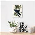 Picture of Raven From Birds of America (1827) _GroupedProduct_Rectangle_Portrait_Canvas_Framed_