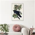 Picture of Raven From Birds of America (1827) _GroupedProduct_Rectangle_Portrait_Canvas_Framed_