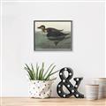 Picture of Vintage Scoter Duck _GroupedProduct_Rectangle_Landscape_Canvas_Framed_