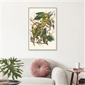 Picture of Vintage Carolina Parrot _GroupedProduct_Rectangle_Portrait_Canvas_Framed_