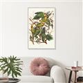 Picture of Vintage Carolina Parrot _GroupedProduct_Rectangle_Portrait_Canvas_Framed_