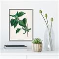 Picture of Nostalgic Green Lilac Leaves _GroupedProduct_Rectangle_Portrait_Canvas_Framed_