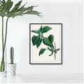 Picture of Nostalgic Green Lilac Leaves _GroupedProduct_Rectangle_Portrait_Canvas_Framed_