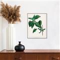 Picture of Nostalgic Green Lilac Leaves _GroupedProduct_Rectangle_Portrait_Canvas_Framed_