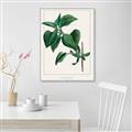 Picture of Nostalgic Green Lilac Leaves _GroupedProduct_Rectangle_Portrait_Canvas_Framed_
