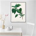 Picture of Nostalgic Green Lilac Leaves _GroupedProduct_Rectangle_Portrait_Canvas_Framed_