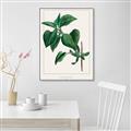 Picture of Nostalgic Green Lilac Leaves _GroupedProduct_Rectangle_Portrait_Canvas_Framed_