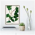 Picture of Nostalgic Green Murgrona Leaves _GroupedProduct_Rectangle_Portrait_Canvas_Framed_