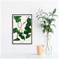 Picture of Nostalgic Green Murgrona Leaves _GroupedProduct_Rectangle_Portrait_Canvas_Framed_