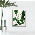 Picture of Nostalgic Green Murgrona Leaves _GroupedProduct_Rectangle_Portrait_Canvas_Framed_