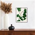 Picture of Nostalgic Green Murgrona Leaves _GroupedProduct_Rectangle_Portrait_Canvas_Framed_