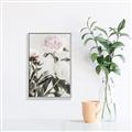 Picture of Romantic Blur Peony V _GroupedProduct_Rectangle_Portrait_Photography _GroupedProduct_Rectangle_Portrait_Canvas_Framed_
