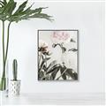 Picture of Romantic Blur Peony V _GroupedProduct_Rectangle_Portrait_Photography _GroupedProduct_Rectangle_Portrait_Canvas_Framed_