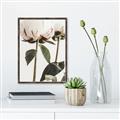Picture of Romantic Blur Peony IV _GroupedProduct_Rectangle_Portrait_Photography _GroupedProduct_Rectangle_Portrait_Canvas_Framed_