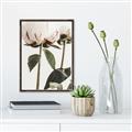 Picture of Romantic Blur Peony IV _GroupedProduct_Rectangle_Portrait_Photography _GroupedProduct_Rectangle_Portrait_Canvas_Framed_