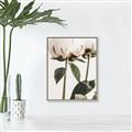 Picture of Romantic Blur Peony IV _GroupedProduct_Rectangle_Portrait_Photography _GroupedProduct_Rectangle_Portrait_Canvas_Framed_