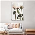 Picture of Romantic Blur Peony IV _GroupedProduct_Rectangle_Portrait_Photography _GroupedProduct_Rectangle_Portrait_Canvas_Framed_