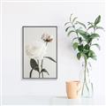 Picture of Romantic Blur Peony III _GroupedProduct_Rectangle_Portrait_Photography _GroupedProduct_Rectangle_Portrait_Canvas_Framed_
