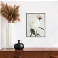 Picture of Romantic Blur Peony III _GroupedProduct_Rectangle_Portrait_Photography _GroupedProduct_Rectangle_Portrait_Canvas_Framed_