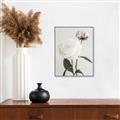 Picture of Romantic Blur Peony III _GroupedProduct_Rectangle_Portrait_Photography _GroupedProduct_Rectangle_Portrait_Canvas_Framed_