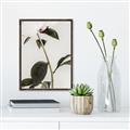 Picture of Romantic Blur Peony II _GroupedProduct_Rectangle_Portrait_Photography _GroupedProduct_Rectangle_Portrait_Canvas_Framed_