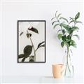 Picture of Romantic Blur Peony II _GroupedProduct_Rectangle_Portrait_Photography _GroupedProduct_Rectangle_Portrait_Canvas_Framed_