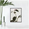 Picture of Romantic Blur Peony II _GroupedProduct_Rectangle_Portrait_Photography _GroupedProduct_Rectangle_Portrait_Canvas_Framed_
