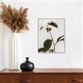 Picture of Romantic Blur Peony II _GroupedProduct_Rectangle_Portrait_Photography _GroupedProduct_Rectangle_Portrait_Canvas_Framed_