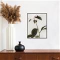 Picture of Romantic Blur Peony II _GroupedProduct_Rectangle_Portrait_Photography _GroupedProduct_Rectangle_Portrait_Canvas_Framed_