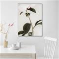 Picture of Romantic Blur Peony II _GroupedProduct_Rectangle_Portrait_Photography _GroupedProduct_Rectangle_Portrait_Canvas_Framed_